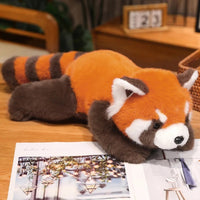 Orange Raccoon
